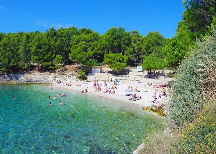 Апартаменты Jela *